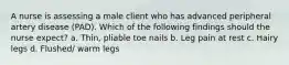 A nurse is assessing a male client who has advanced peripheral artery disease (PAD). Which of the following findings should the nurse expect? a. Thin, pliable toe nails b. Leg pain at rest c. Hairy legs d. Flushed/ warm legs