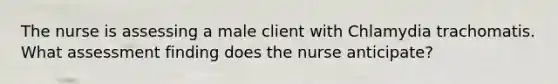 The nurse is assessing a male client with Chlamydia trachomatis. What assessment finding does the nurse anticipate?