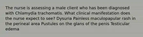 The nurse is assessing a male client who has been diagnosed with Chlamydia trachomatis. What clinical manifestation does the nurse expect to see? Dysuria Painless maculopapular rash in the perineal area Pustules on the glans of the penis Testicular edema