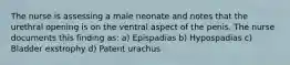 The nurse is assessing a male neonate and notes that the urethral opening is on the ventral aspect of the penis. The nurse documents this finding as: a) Epispadias b) Hypospadias c) Bladder exstrophy d) Patent urachus