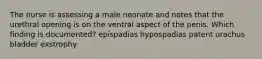 The nurse is assessing a male neonate and notes that the urethral opening is on the ventral aspect of the penis. Which finding is documented? epispadias hypospadias patent urachus bladder exstrophy