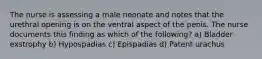 The nurse is assessing a male neonate and notes that the urethral opening is on the ventral aspect of the penis. The nurse documents this finding as which of the following? a) Bladder exstrophy b) Hypospadias c) Epispadias d) Patent urachus