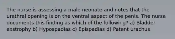 The nurse is assessing a male neonate and notes that the urethral opening is on the ventral aspect of the penis. The nurse documents this finding as which of the following? a) Bladder exstrophy b) Hypospadias c) Epispadias d) Patent urachus