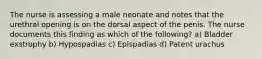 The nurse is assessing a male neonate and notes that the urethral opening is on the dorsal aspect of the penis. The nurse documents this finding as which of the following? a) Bladder exstrophy b) Hypospadias c) Epispadias d) Patent urachus