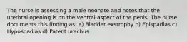 The nurse is assessing a male neonate and notes that the urethral opening is on the ventral aspect of the penis. The nurse documents this finding as: a) Bladder exstrophy b) Epispadias c) Hypospadias d) Patent urachus