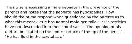 The nurse is assessing a male neonate in the presence of the parents and notes that the neonate has hypospadias. How should the nurse respond when questioned by the parents as to what this means? -"He has normal male genitalia." -"His testicles have not descended into the scrotal sac." -"The opening of his urethra in located on the under surface of the tip of the penis." -"He has fluid in the scrotal sac."