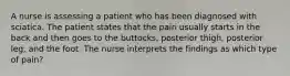 A nurse is assessing a patient who has been diagnosed with sciatica. The patient states that the pain usually starts in the back and then goes to the buttocks, posterior thigh, posterior leg, and the foot. The nurse interprets the findings as which type of pain?