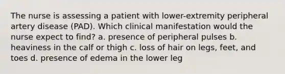 The nurse is assessing a patient with lower-extremity peripheral artery disease (PAD). Which clinical manifestation would the nurse expect to find? a. presence of peripheral pulses b. heaviness in the calf or thigh c. loss of hair on legs, feet, and toes d. presence of edema in the lower leg