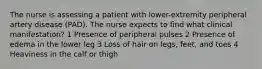 The nurse is assessing a patient with lower-extremity peripheral artery disease (PAD). The nurse expects to find what clinical manifestation? 1 Presence of peripheral pulses 2 Presence of edema in the lower leg 3 Loss of hair on legs, feet, and toes 4 Heaviness in the calf or thigh