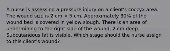 A nurse is assessing a pressure injury on a client's coccyx area. The wound size is 2 cm × 5 cm. Approximately 30% of the wound bed is covered in yellow slough. There is an area of undermining to the right side of the wound, 2 cm deep. Subcutaneous fat is visible. Which stage should the nurse assign to this client's wound?