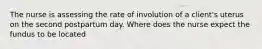The nurse is assessing the rate of involution of a client's uterus on the second postpartum day. Where does the nurse expect the fundus to be located