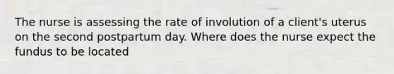 The nurse is assessing the rate of involution of a client's uterus on the second postpartum day. Where does the nurse expect the fundus to be located