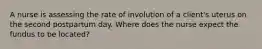 A nurse is assessing the rate of involution of a client's uterus on the second postpartum day. Where does the nurse expect the fundus to be located?