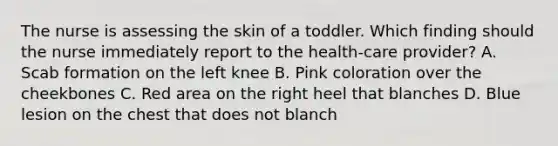 The nurse is assessing the skin of a toddler. Which finding should the nurse immediately report to the health-care provider? A. Scab formation on the left knee B. Pink coloration over the cheekbones C. Red area on the right heel that blanches D. Blue lesion on the chest that does not blanch