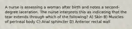 A nurse is assessing a woman after birth and notes a second-degree laceration. The nurse interprets this as indicating that the tear extends through which of the following? A) Skin B) Muscles of perineal body C) Anal sphincter D) Anterior rectal wall