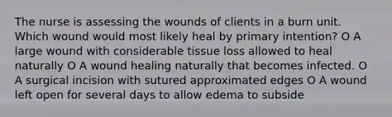 The nurse is assessing the wounds of clients in a burn unit. Which wound would most likely heal by primary intention? O A large wound with considerable tissue loss allowed to heal naturally O A wound healing naturally that becomes infected. O A surgical incision with sutured approximated edges O A wound left open for several days to allow edema to subside