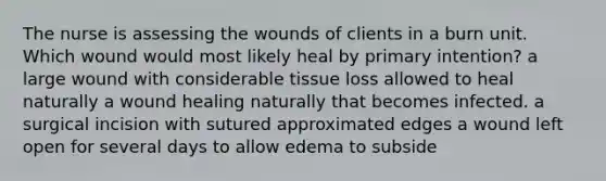 The nurse is assessing the wounds of clients in a burn unit. Which wound would most likely heal by primary intention? a large wound with considerable tissue loss allowed to heal naturally a wound healing naturally that becomes infected. a surgical incision with sutured approximated edges a wound left open for several days to allow edema to subside