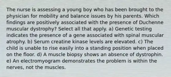 The nurse is assessing a young boy who has been brought to the physician for mobility and balance issues by his parents. Which findings are positively associated with the presence of Duchenne muscular dystrophy? Select all that apply. a) Genetic testing indicates the presence of a gene associated with spinal muscular atrophy. b) Serum creatine kinase levels are elevated. c) The child is unable to rise easily into a standing position when placed on the floor. d) A muscle biopsy shows an absence of dystrophin. e) An electromyogram demonstrates the problem is within the nerves, not the muscles.