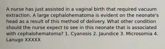 A nurse has just assisted in a vaginal birth that required vacuum extraction. A large cephalohematoma is evident on the neonate's head as a result of this method of delivery. What other condition should the nurse expect to see in this neonate that is associated with cephalohematoma? 1. Cyanosis 2. Jaundice 3. Microsomia 4. Lanugo XXXXX