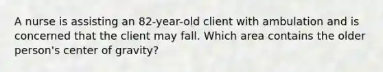 A nurse is assisting an 82-year-old client with ambulation and is concerned that the client may fall. Which area contains the older person's center of gravity?