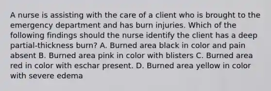 A nurse is assisting with the care of a client who is brought to the emergency department and has burn injuries. Which of the following findings should the nurse identify the client has a deep partial-thickness burn? A. Burned area black in color and pain absent B. Burned area pink in color with blisters C. Burned area red in color with eschar present. D. Burned area yellow in color with severe edema