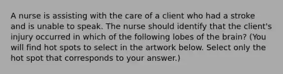 A nurse is assisting with the care of a client who had a stroke and is unable to speak. The nurse should identify that the client's injury occurred in which of the following lobes of <a href='https://www.questionai.com/knowledge/kLMtJeqKp6-the-brain' class='anchor-knowledge'>the brain</a>? (You will find hot spots to select in the artwork below. Select only the hot spot that corresponds to your answer.)