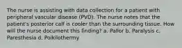 The nurse is assisting with data collection for a patient with peripheral vascular disease (PVD). The nurse notes that the patient's posterior calf is cooler than the surrounding tissue. How will the nurse document this finding? a. Pallor b. Paralysis c. Paresthesia d. Poikilothermy