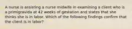 A nurse is assisting a nurse midwife in examining a client who is a primigravida at 42 weeks of gestation and states that she thinks she is in labor. Which of the following findings confirm that the client is in labor?