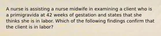 A nurse is assisting a nurse midwife in examining a client who is a primigravida at 42 weeks of gestation and states that she thinks she is in labor. Which of the following findings confirm that the client is in labor?