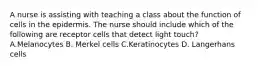 A nurse is assisting with teaching a class about the function of cells in the epidermis. The nurse should include which of the following are receptor cells that detect light touch? A.Melanocytes B. Merkel cells C.Keratinocytes D. Langerhans cells