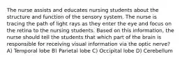 The nurse assists and educates nursing students about the structure and function of the sensory system. The nurse is tracing the path of light rays as they enter the eye and focus on the retina to the nursing students. Based on this information, the nurse should tell the students that which part of the brain is responsible for receiving visual information via the optic nerve? A) Temporal lobe B) Parietal lobe C) Occipital lobe D) Cerebellum