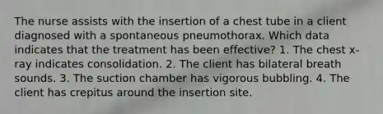 The nurse assists with the insertion of a chest tube in a client diagnosed with a spontaneous pneumothorax. Which data indicates that the treatment has been effective? 1. The chest x-ray indicates consolidation. 2. The client has bilateral breath sounds. 3. The suction chamber has vigorous bubbling. 4. The client has crepitus around the insertion site.