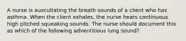 A nurse is auscultating the breath sounds of a client who has asthma. When the client exhales, the nurse hears continuous high pitched squeaking sounds. The nurse should document this as which of the following adventitious lung sound?