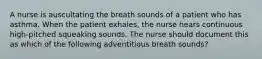 A nurse is auscultating the breath sounds of a patient who has asthma. When the patient exhales, the nurse hears continuous high-pitched squeaking sounds. The nurse should document this as which of the following adventitious breath sounds?