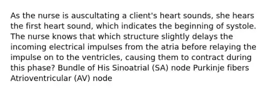 As the nurse is auscultating a client's heart sounds, she hears the first heart sound, which indicates the beginning of systole. The nurse knows that which structure slightly delays the incoming electrical impulses from the atria before relaying the impulse on to the ventricles, causing them to contract during this phase? Bundle of His Sinoatrial (SA) node Purkinje fibers Atrioventricular (AV) node