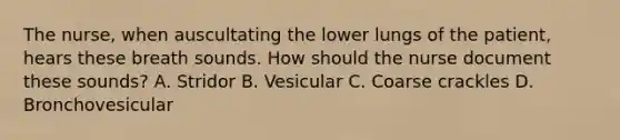 The nurse, when auscultating the lower lungs of the patient, hears these breath sounds. How should the nurse document these sounds? A. Stridor B. Vesicular C. Coarse crackles D. Bronchovesicular