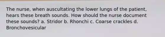 The nurse, when auscultating the lower lungs of the patient, hears these breath sounds. How should the nurse document these sounds? a. Stridor b. Rhonchi c. Coarse crackles d. Bronchovesicular