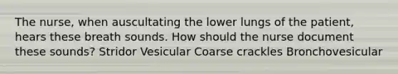 The nurse, when auscultating the lower lungs of the patient, hears these breath sounds. How should the nurse document these sounds? Stridor Vesicular Coarse crackles Bronchovesicular