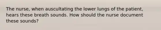 The nurse, when auscultating the lower lungs of the patient, hears these breath sounds. How should the nurse document these sounds?