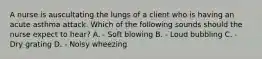 A nurse is auscultating the lungs of a client who is having an acute asthma attack. Which of the following sounds should the nurse expect to hear? A. - Soft blowing B. - Loud bubbling C. - Dry grating D. - Noisy wheezing