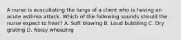 A nurse is auscultating the lungs of a client who is having an acute asthma attack. Which of the following sounds should the nurse expect to hear? A. Soft blowing B. Loud bubbling C. Dry grating D. Noisy wheezing