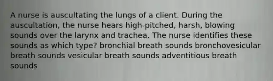 A nurse is auscultating the lungs of a client. During the auscultation, the nurse hears high-pitched, harsh, blowing sounds over the larynx and trachea. The nurse identifies these sounds as which type? bronchial breath sounds bronchovesicular breath sounds vesicular breath sounds adventitious breath sounds