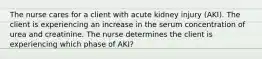 The nurse cares for a client with acute kidney injury (AKI). The client is experiencing an increase in the serum concentration of urea and creatinine. The nurse determines the client is experiencing which phase of AKI?