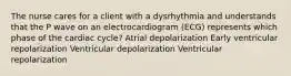 The nurse cares for a client with a dysrhythmia and understands that the P wave on an electrocardiogram (ECG) represents which phase of the cardiac cycle? Atrial depolarization Early ventricular repolarization Ventricular depolarization Ventricular repolarization