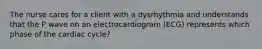 The nurse cares for a client with a dysrhythmia and understands that the P wave on an electrocardiogram (ECG) represents which phase of the cardiac cycle?