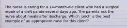 The nurse is caring for a 14-month-old client who had a surgical repair of a cleft palate several days ago. The parents ask the nurse about meals after discharge. Which lunch is the best example of an appropriate meal for this client?