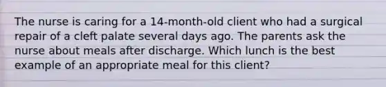 The nurse is caring for a 14-month-old client who had a surgical repair of a cleft palate several days ago. The parents ask the nurse about meals after discharge. Which lunch is the best example of an appropriate meal for this client?