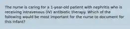 The nurse is caring for a 1-year-old patient with nephritis who is receiving intravenous (IV) antibiotic therapy. Which of the following would be most important for the nurse to document for this infant?