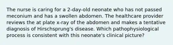 The nurse is caring for a 2-day-old neonate who has not passed meconium and has a swollen abdomen. The healthcare provider reviews the at plate x-ray of the abdomen and makes a tentative diagnosis of Hirschsprung's disease. Which pathophysiological process is consistent with this neonate's clinical picture?