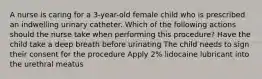 A nurse is caring for a 3-year-old female child who is prescribed an indwelling urinary catheter. Which of the following actions should the nurse take when performing this procedure? Have the child take a deep breath before urinating The child needs to sign their consent for the procedure Apply 2% lidocaine lubricant into the urethral meatus